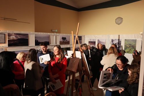 WhatsApp-Image-2024-11-19-at-10.07.59-3