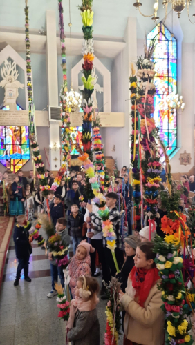 434051439 332862903109437 8895548042416494722 n