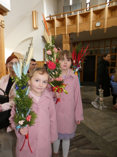 431594884 6640950489340631 1566393592764939861 n