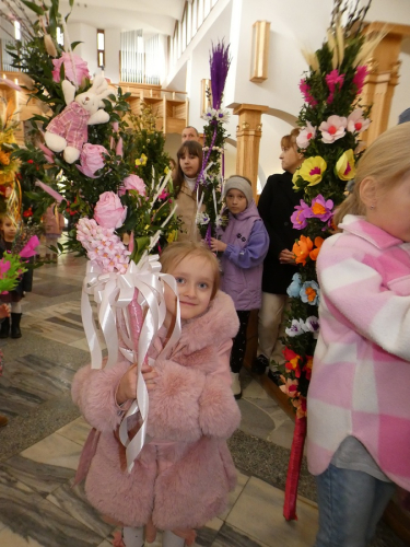 434030056 6640949846007362 8666497355600298063 n