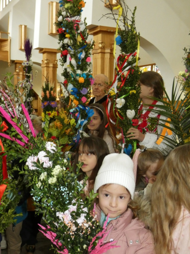 434058567 6640952396007107 2256702093175523688 n