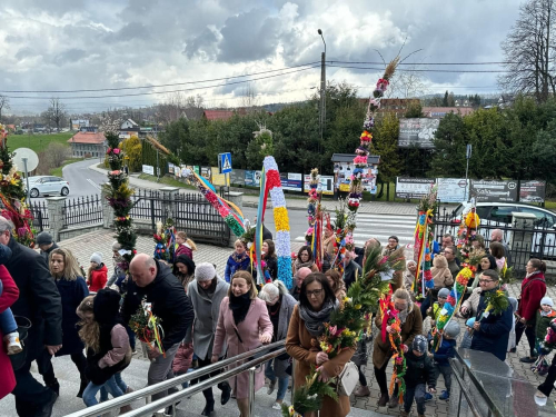 433135351 1172399984121723 5254810843928035941 n