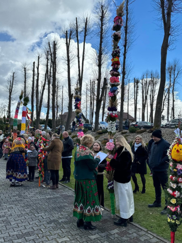 433179845 1172399970788391 5825074744326883868 n