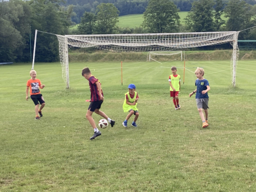 449461205 868436001994668 8650703779664014203 n