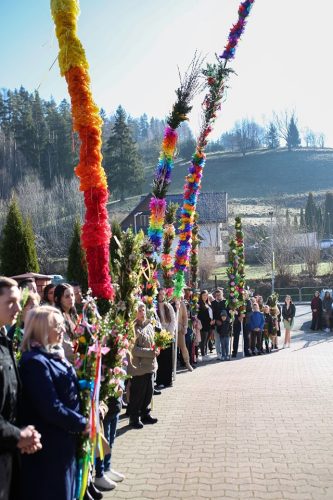 490771616 514439305072570 3311614785049321470 n