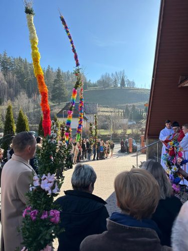 490879075 514440475072453 6311498538512661371 n