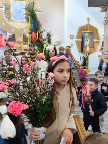 490445705 1709822267081691 8729424691092093507 n