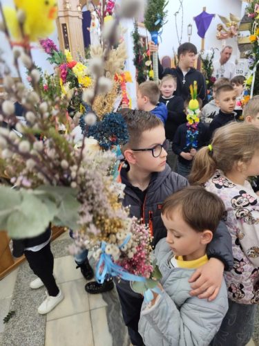 490658800 1709822110415040 2548434769825853258 n