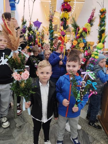 491127044 1709822460415005 7979070861579791100 n