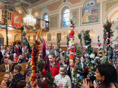 WhatsApp-Image-2025-04-16-at-11.38.33