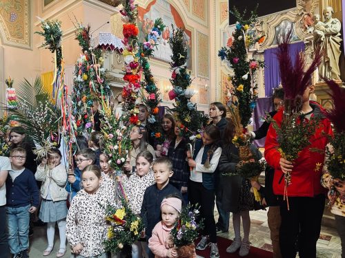 WhatsApp-Image-2025-04-16-at-11.39.48