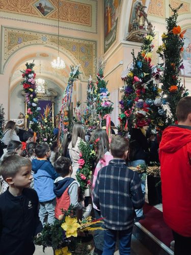 WhatsApp-Image-2025-04-16-at-12.22.08