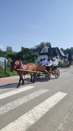 IMG 20230827 104809-1