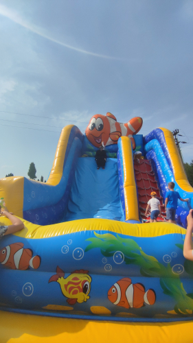 IMG 20230827 142312-1