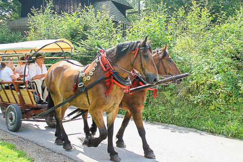 371771034 285963134141069 8186860186766459927 n